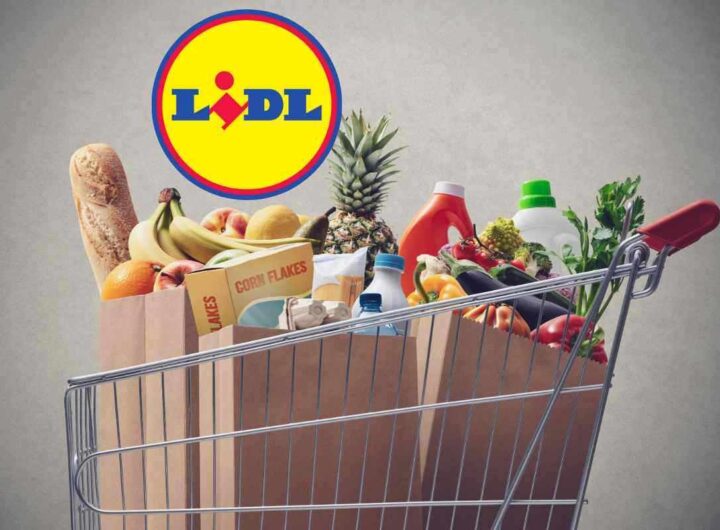 Vola in Francia con Lidl, tornano i “Sapori dal Mondo"