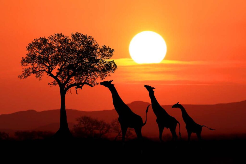 vacanze africa mete da scoprire