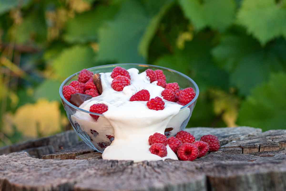 crema spalmabile allerta
