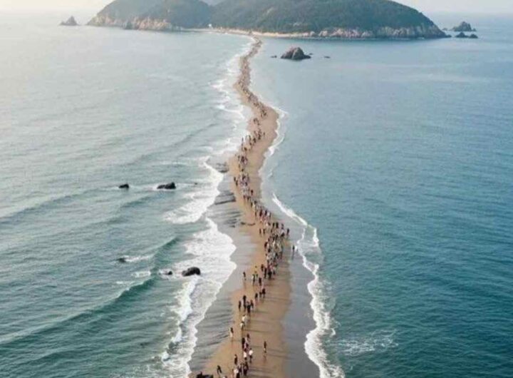 miracolo di jindo dove si trova
