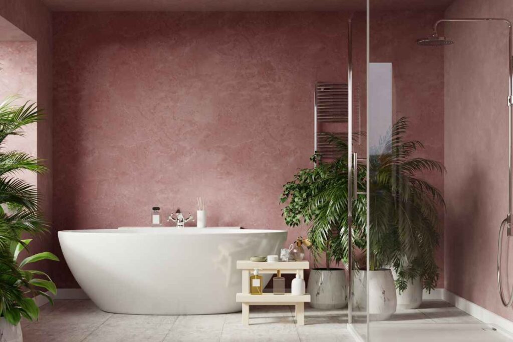 piante bagno anti umidità