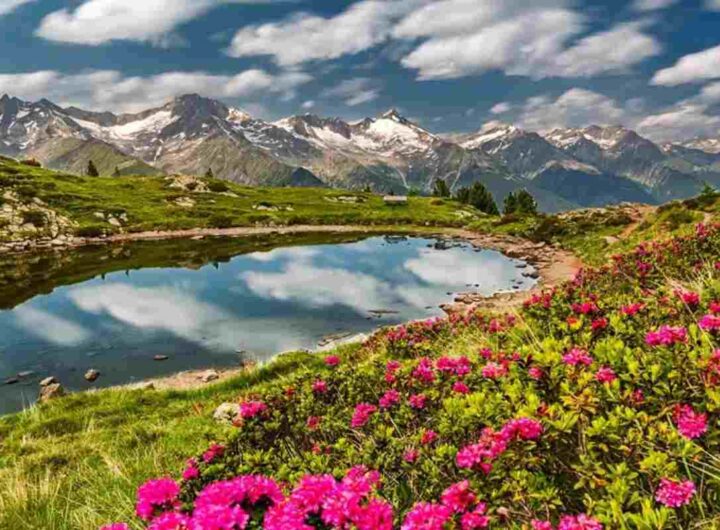 valle aurina vacanze