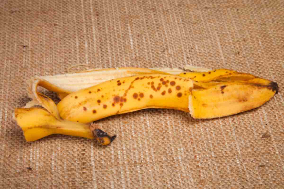 Banana