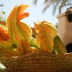 Fiori di Zucca
