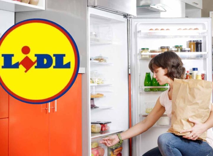 Frigorifero Lidl