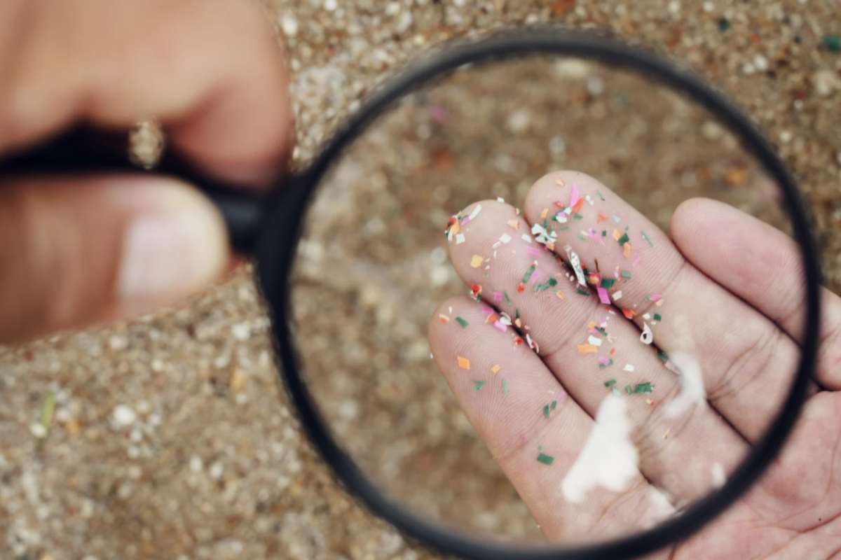 Microplastiche
