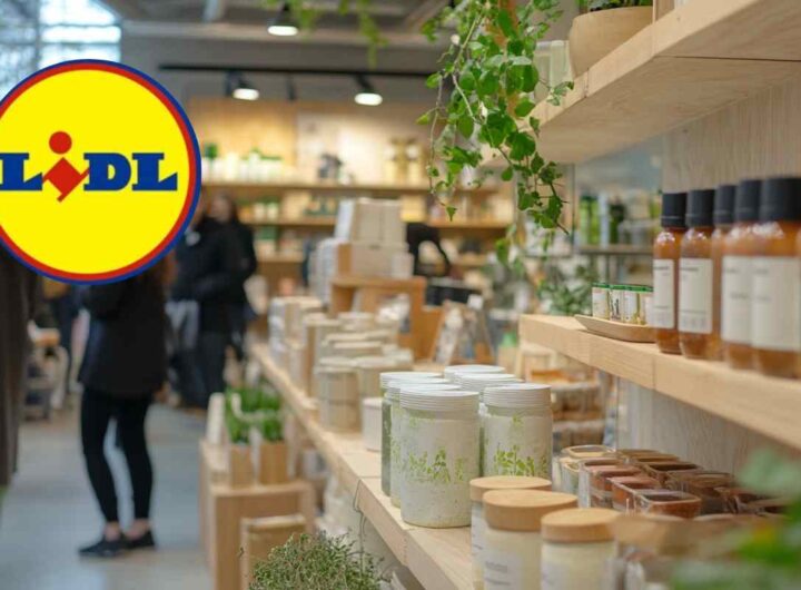 Negozio Lidl