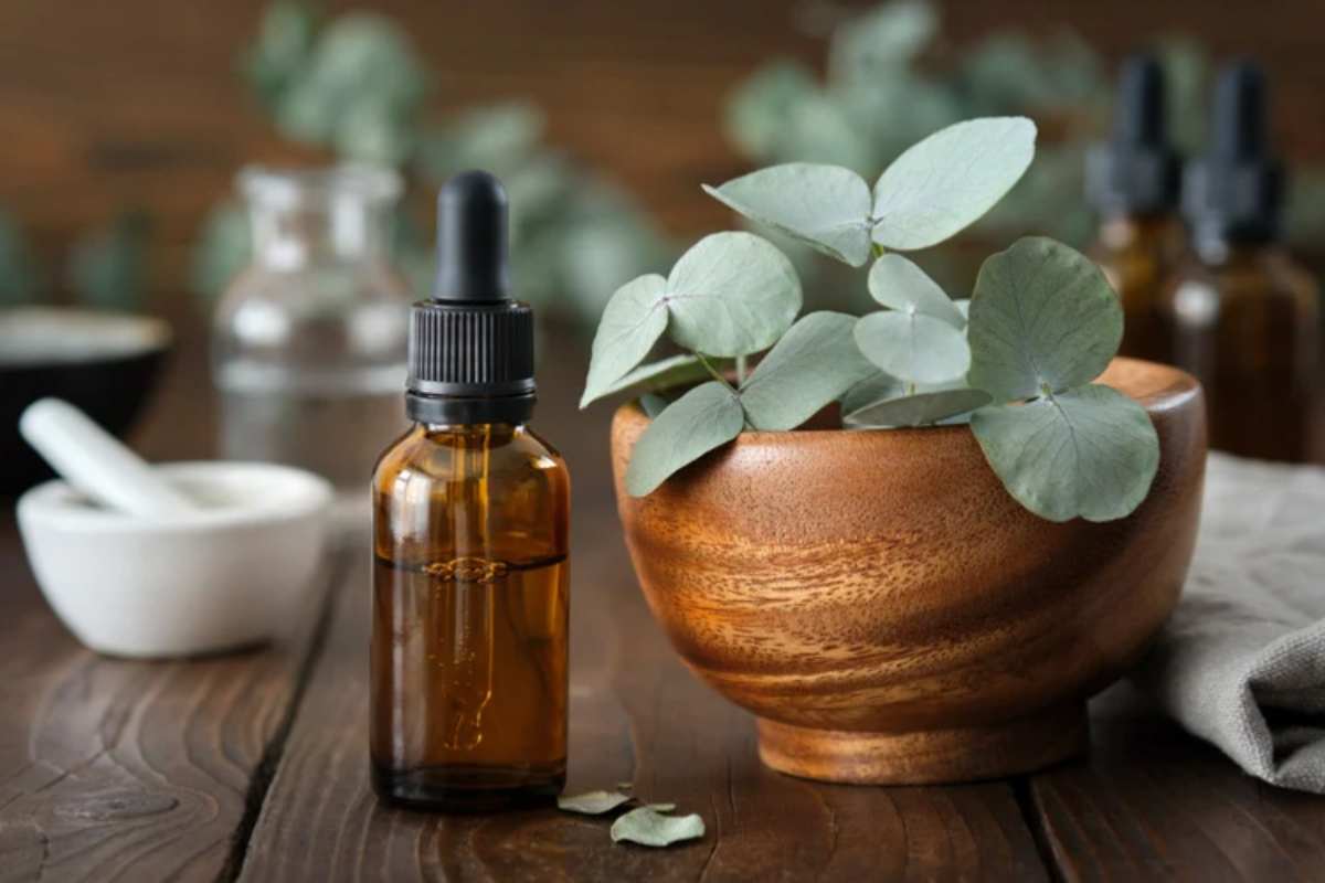 Olio essenziale di eucalipto