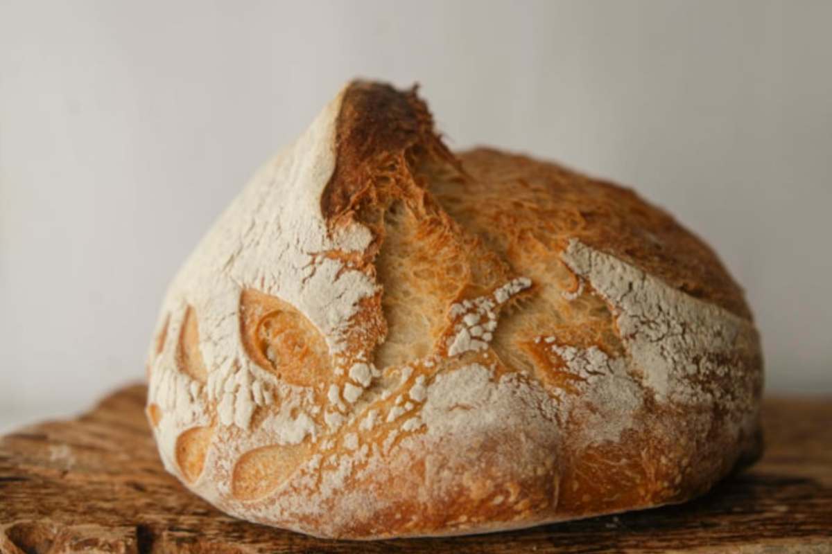 Pane