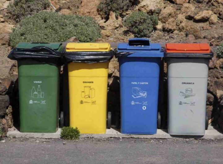 Questo articolo analizza le normative vigenti e le disposizioni comunali aggiornate sul tema, fornendo chiarimenti utili per cittadini e amministratori.