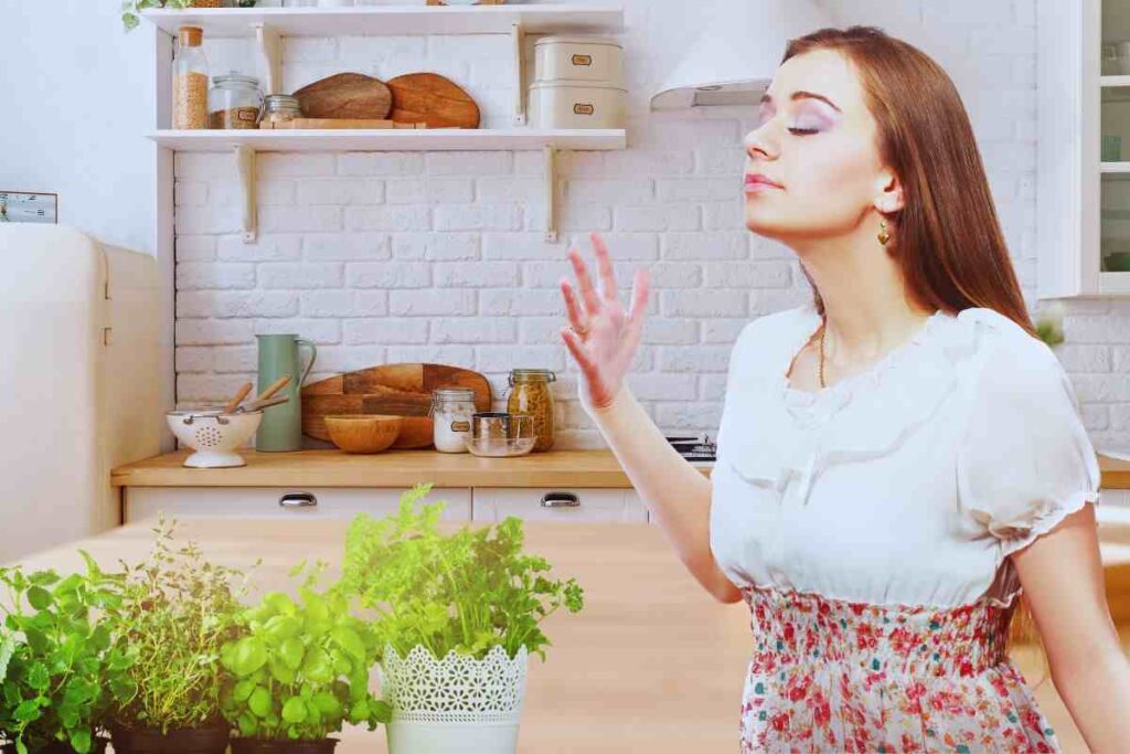 le erbe per profumare la casa