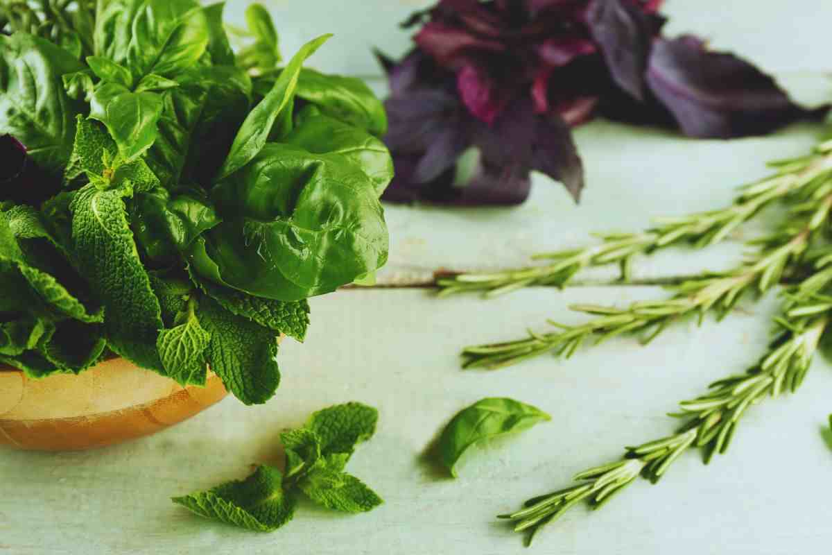 profumare la casa con menta e rosmarino