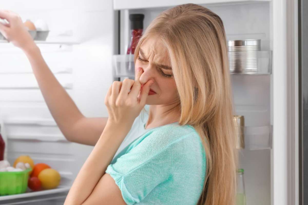 Puzza insolita dal frigo: attenzione ai pericoli