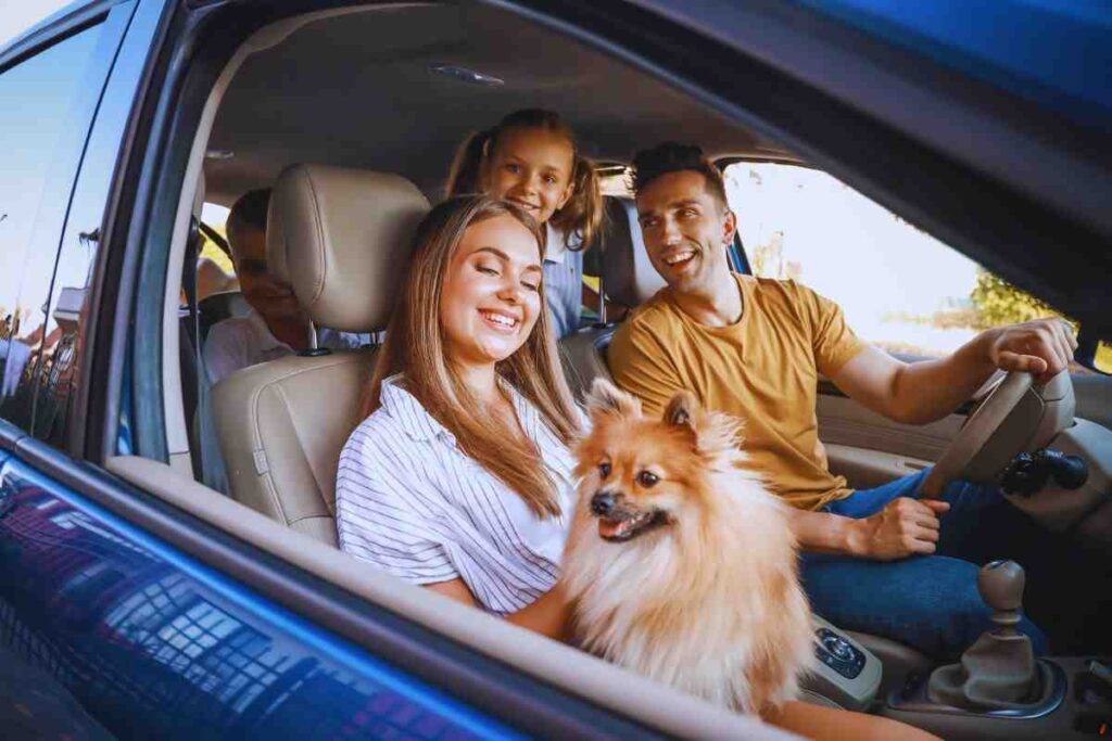 lo strumento essenziale per i viaggi in auto in famiglia