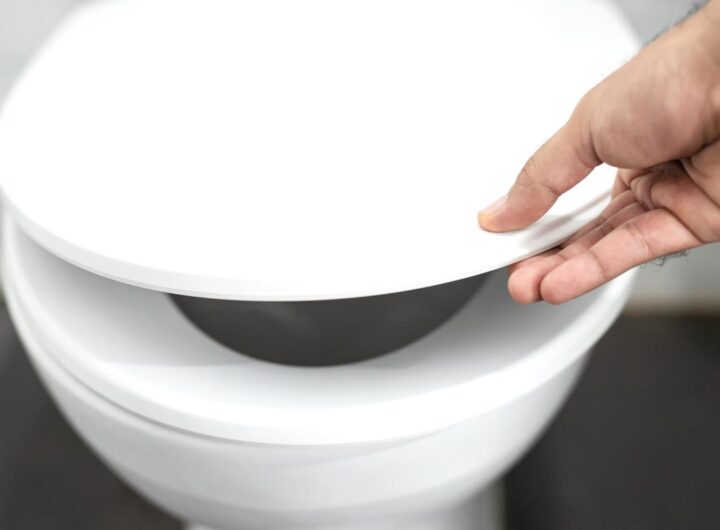 wc perché si chiama così