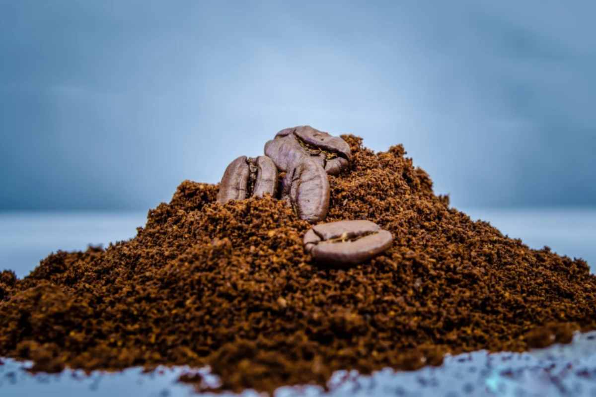 Caffè e limone per pulire il forno: funziona davvero