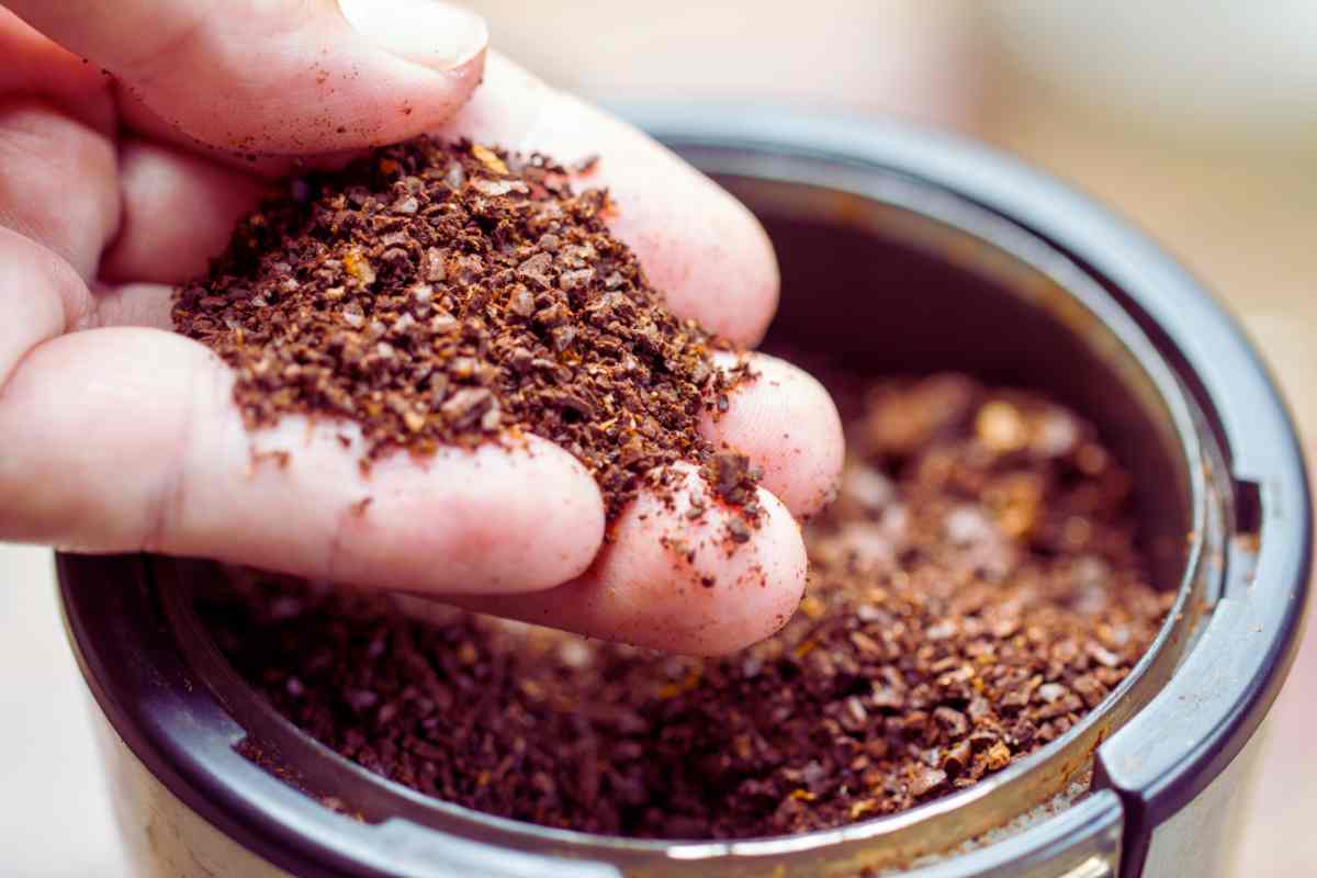Fondi di caffè, ecco tutti gli usi alternativi